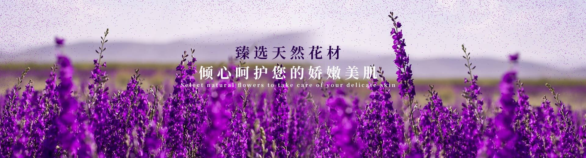 濟(jì)寧迅大管道防腐材料有限公司